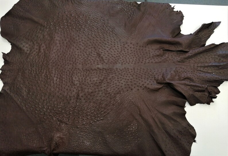 Ostrich Leather genuine brown leather WHOLE HIDE 134 Etsy