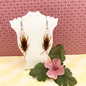 Crystals and Cockroaches Rose Quartz