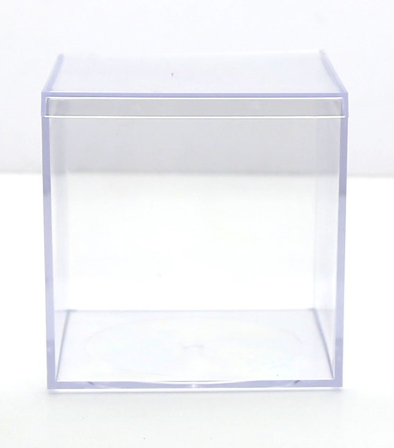 Gary Plastic Packaging Clear Rigid Box, 8 x 4 x 4