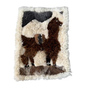 Vintage Peruvian Alpaca Wool Large Tapestry Rug/Hanging Wall Art, 22x32”