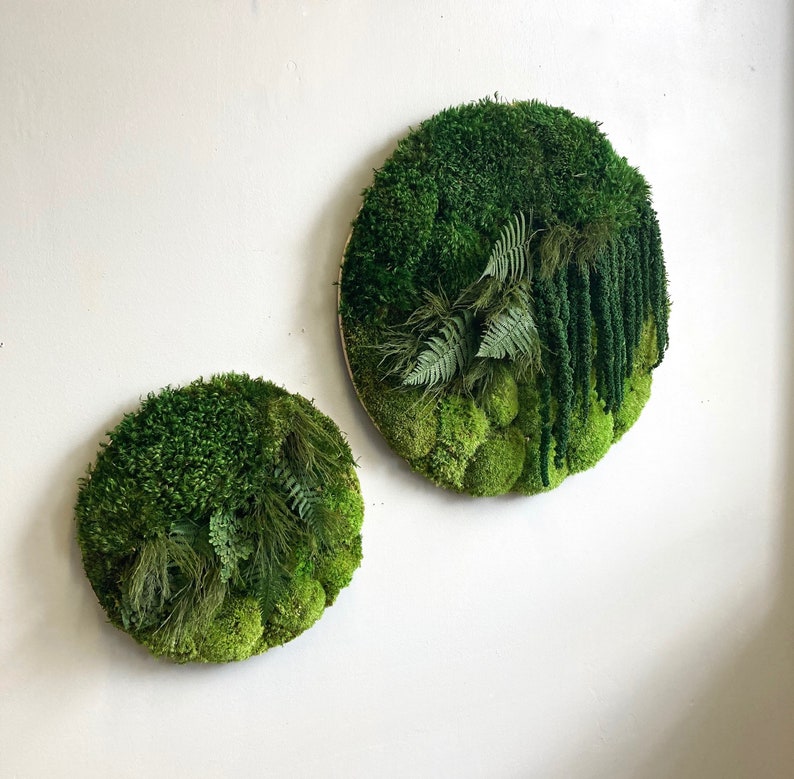 Moss Circle Wall Art. Made with preserved moss and ferns moss Etsy