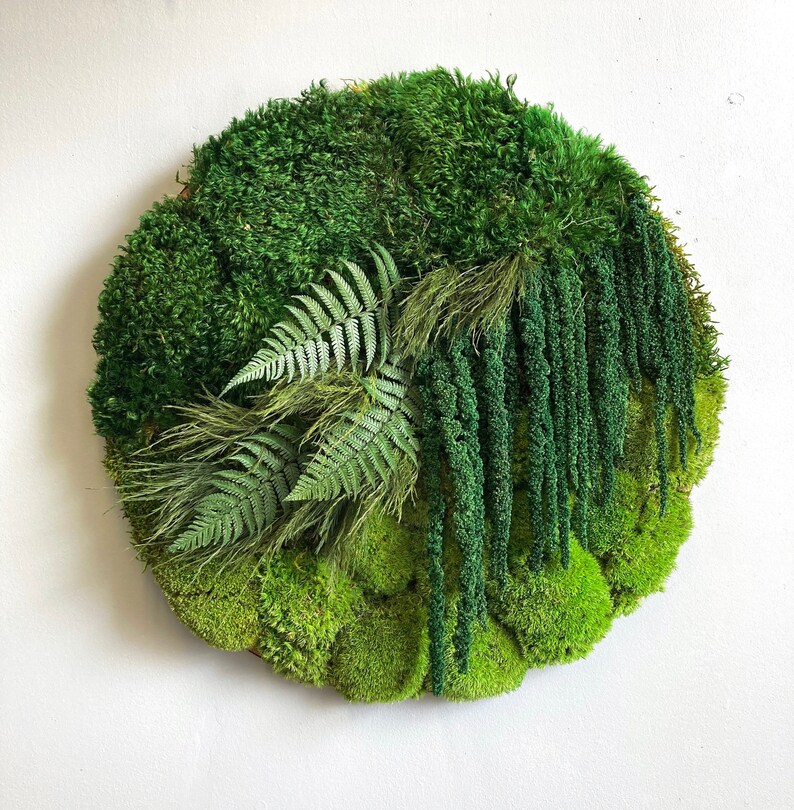 Moss Circle Wall Art. Made with preserved moss and ferns moss Etsy