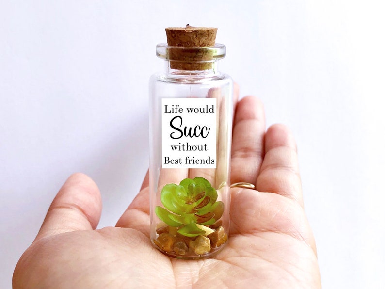 Friendship Gift Personalized for Friend Succulent Bestie Birthday BFF Life would suck without Best Friend Gift for Her Long Distance cute