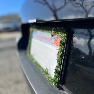Grass Plant License Plate Frame