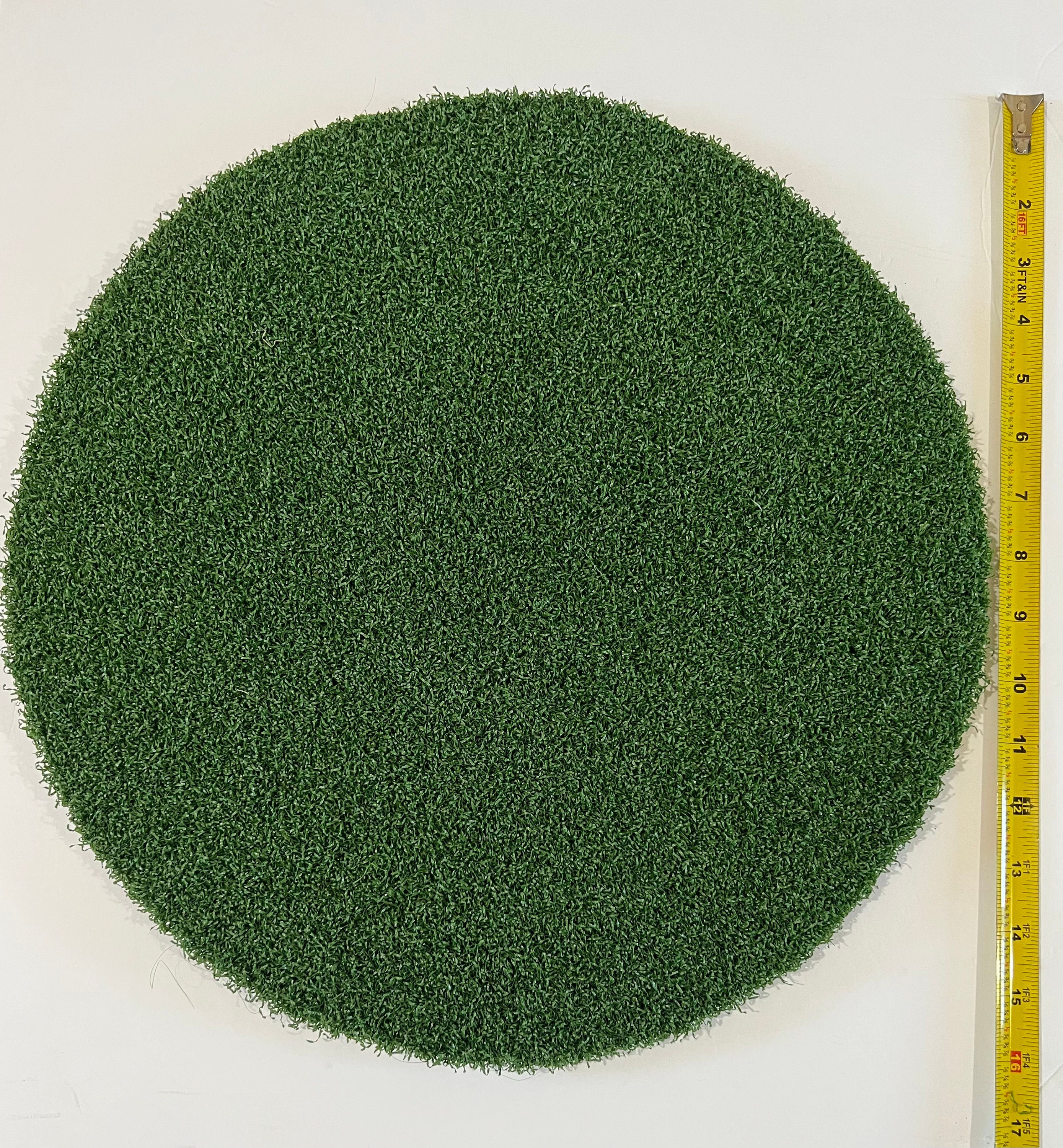 Preserved Sphagnum MOSS Grass Green 1oz 8oz or 1lb Air Plants Crafts Floral  Display Terrarium Living Green Wall Frame 