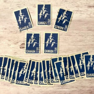 Lot de 25 timbres-poste de Bernaches du Canada - Paquet de timbres d'oiseaux d'occasion pour la philatélie ou le collage, la fabrication de cartes, le papier éphémère, la décoration