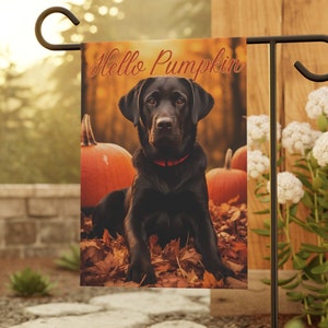 May include: A black Labrador Retriever dog sits in a pile of autumn leaves with pumpkins in the background. The dog is wearing a red collar and the text "Hello Pumpkin" is printed on the flag.