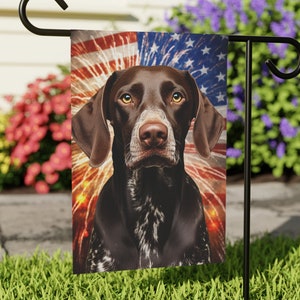 May include: A brown and white German Shorthaired Pointer dog with a red, white, and blue American flag background with fireworks. The dog is looking directly at the camera.