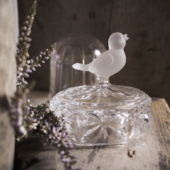 Hofbauer Crystal Bird in Cage. Figurine Byrde Cage Base in Glass Dome. Lead  Crystal Frosted Bird Under a Dome. Christmas Gift for Bird Lover 