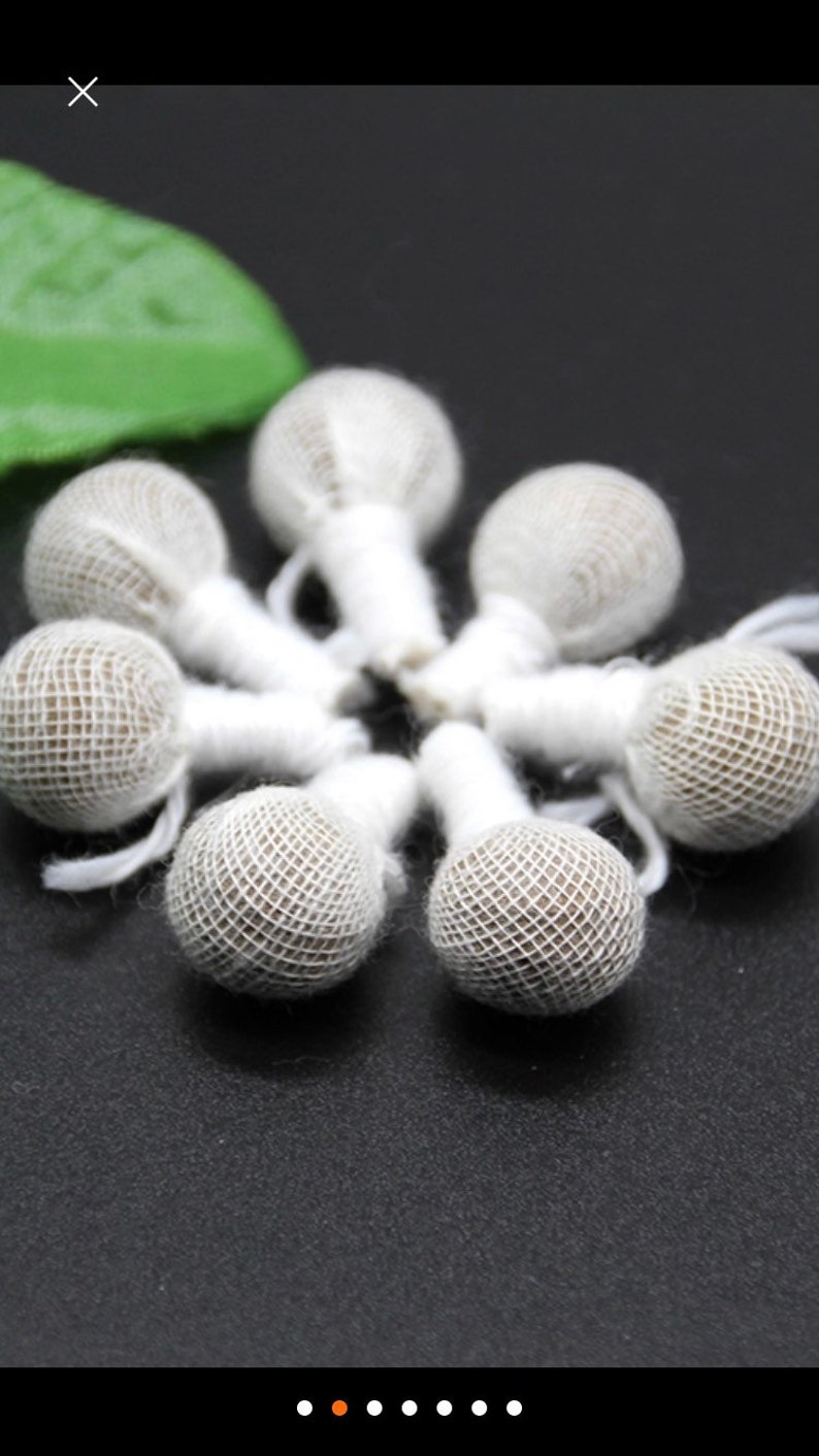 1-10 CLEANSES Yoni Detox Pearls detox