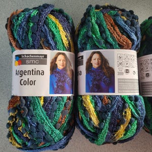 May include: Two skeins of yarn in a multi-colored pattern of blue, green, yellow, and brown. The yarn is called "Argentina Color" and is made by Schachenmayr SMC.