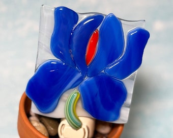 Iris Flower Fused Glass Night Light