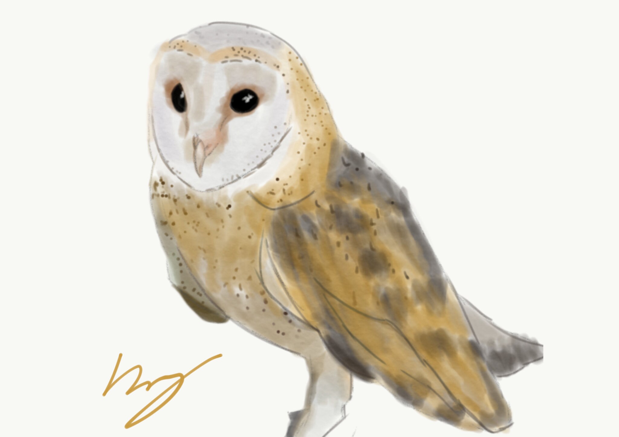 Aquarell Eule Kunst Digitaldruck - Etsy.de