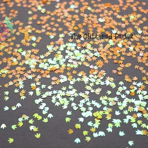 May include: A scattering of iridescent, holographic dinosaur footprint shaped glitter in shades of orange, yellow, and green. The glitter is on a dark gray background. The Glittered Pixiez is written in white text on the image.