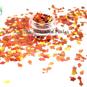 GOLDIE THE GOLDFISH fish shape glitter Cute Fun Loose Glitter for Nail art Hair Face Body Tumblers Craft supply Resin supply Freshie Glitter