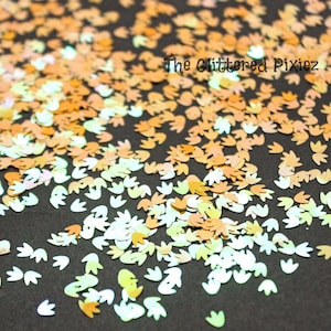 May include: A close-up of iridescent glitter shaped like dinosaur footprints in shades of peach, gold, and white. The glitter is scattered on a black surface.