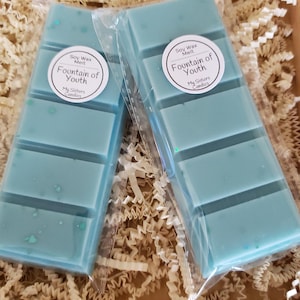 May include: Two teal blue soy wax melts in clear plastic packaging. The wax melts are rectangular and have a label that says "Soy Wax Melt Fountain of Youth My Sisters Candles".