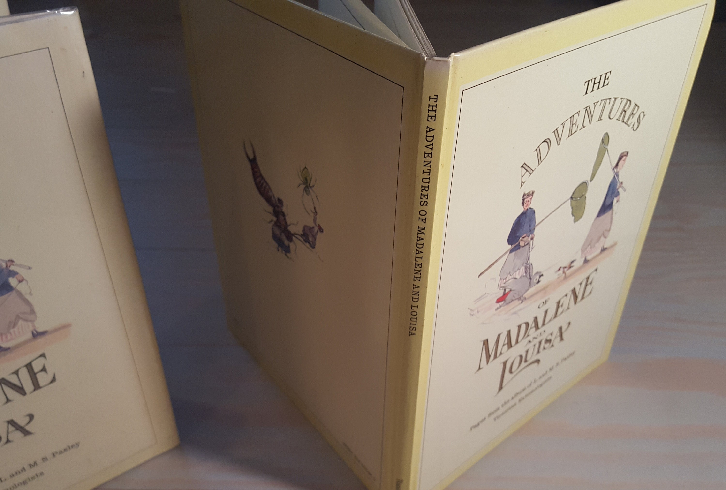 The Adventures of Madalene and Louisa by L. and M.S. Pasley Etsy