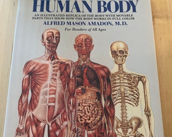 Vintage Fold-out Human Body Atlas: Illustrated Anatomy Book - Etsy