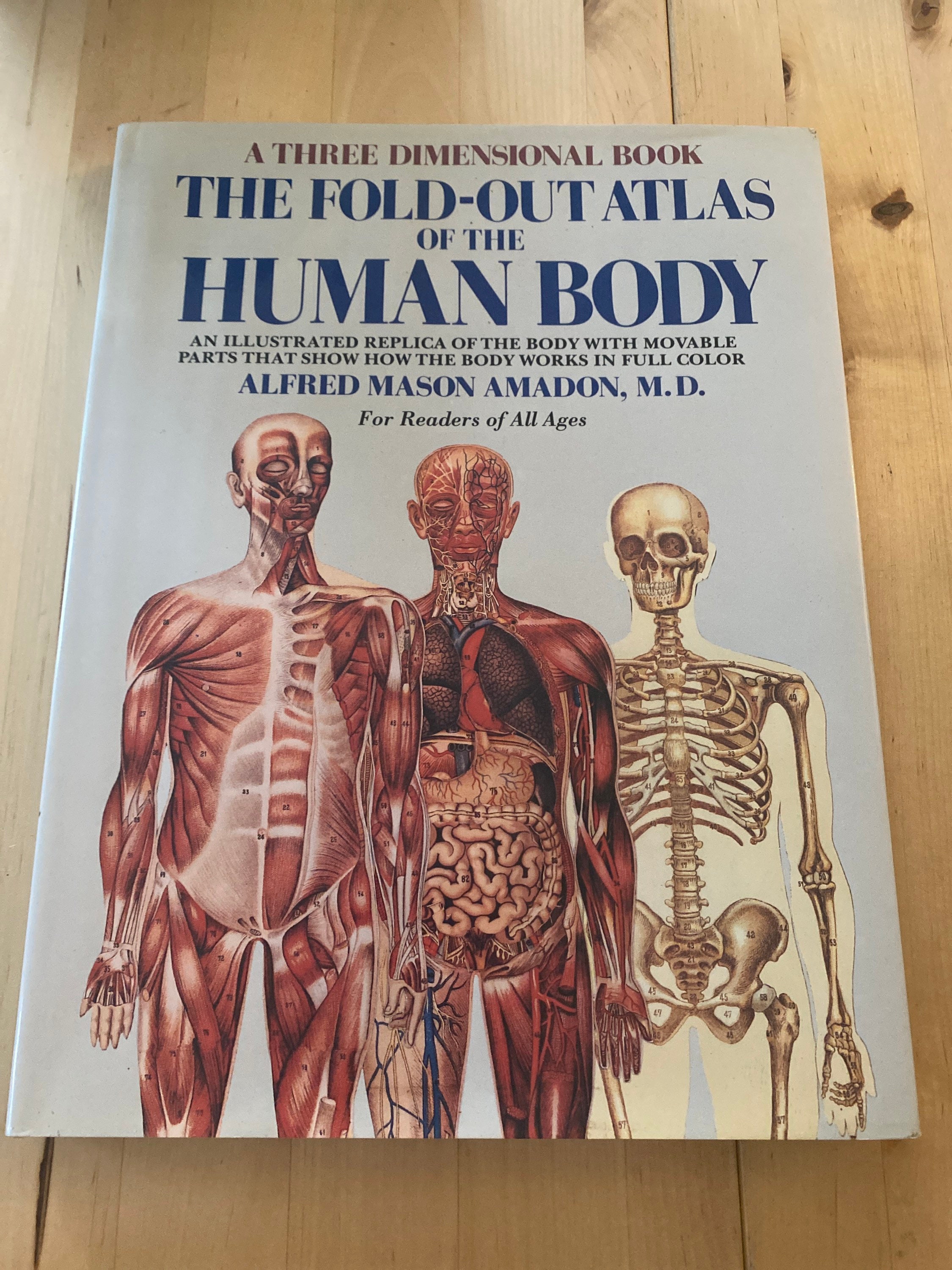 Vintage Fold-out Human Body Atlas: Illustrated Anatomy Book - Etsy