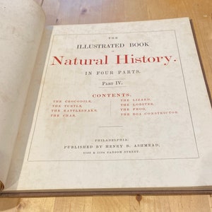 The Illustrated Book of Natural History in Four Parts. Part IV (4). Published by Henry B. Ashmead- Philadelphia, 1859.