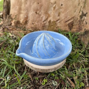 May include: A handmade, light blue ceramic citrus juicer with a ridged reamer and a pouring spout. The juicer sits on a small, round wooden base, perfect for squeezing fresh citrus. The background features grass and a tree trunk.