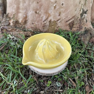 Puede incluir: Exprimidor de cítricos de cerámica amarilla hecho a mano. El exprimidor tiene un reamer en el centro y un pico para verter. Se encuentra sobre una pequeña base de madera redonda, con un fondo natural de hierba y un tronco de árbol.