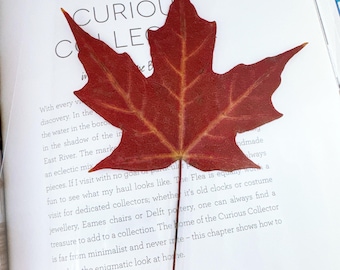 Real Maple Leaf Bookmark: Autumn Canada Souvenir