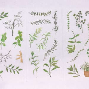 Botanic Sticker Sheet: Watercolor Plant Stickers for Journaling