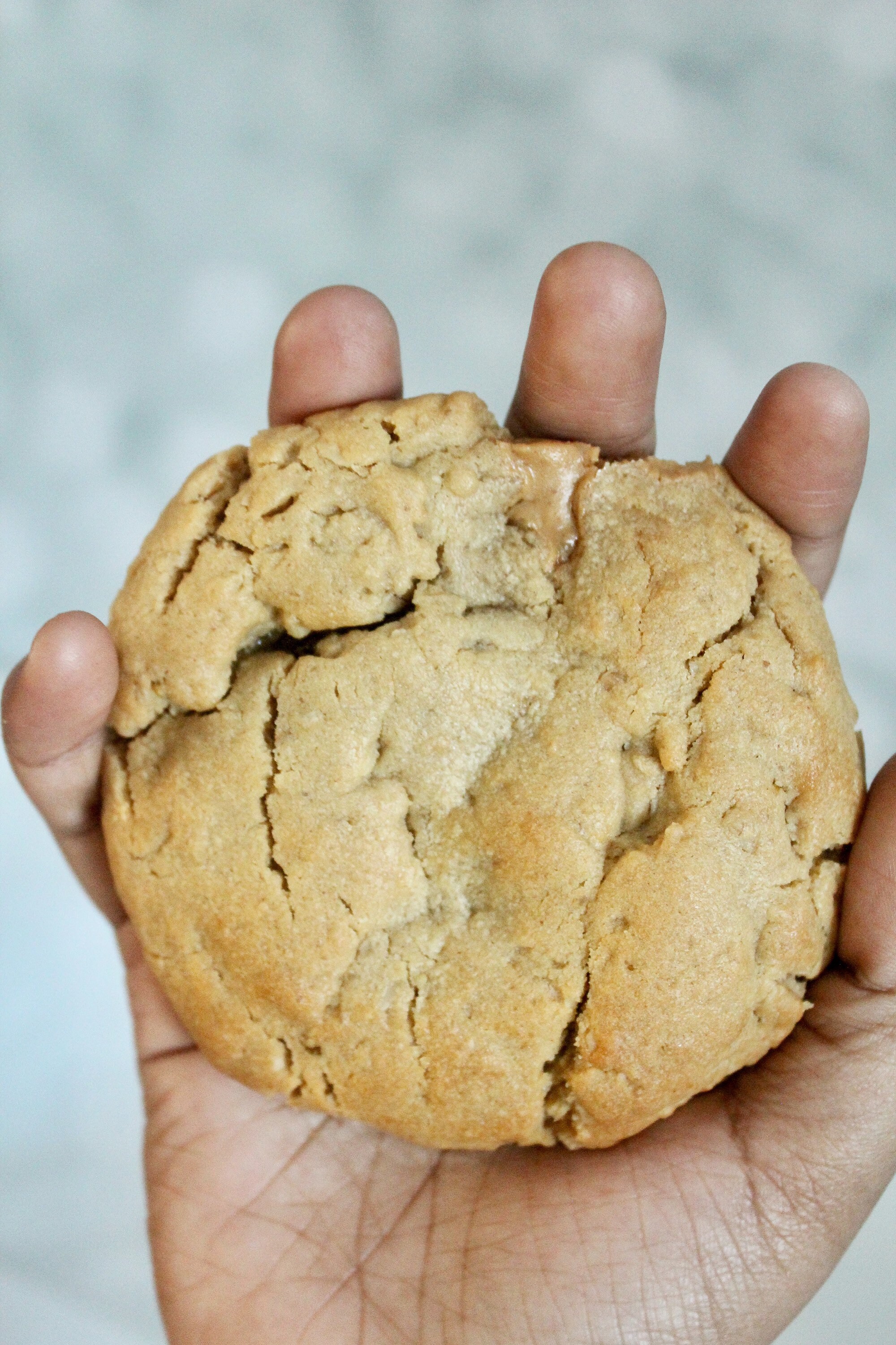 Jumbo Peanut Butter and Jelly Stuffed Peanut Butter Cookies Etsy