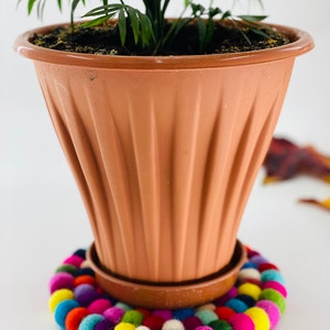 May include: A terracotta pot with a green plant sits on a colorful felt coaster. The coaster is made of small, round felt balls in various colors, including red, orange, yellow, green, blue, purple, and white.