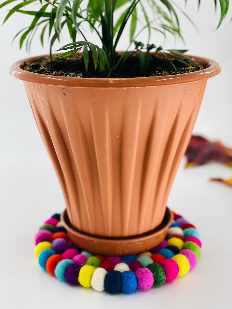 May include: A terracotta pot with a green plant sits on a colorful felt coaster. The coaster is made of small, round felt balls in various colors, including red, orange, yellow, green, blue, purple, and white.