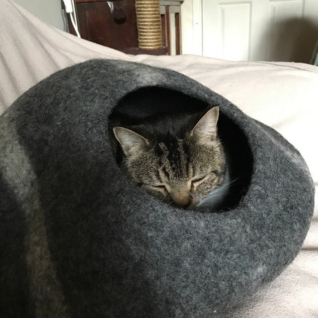 Extra large covered cat sales bed