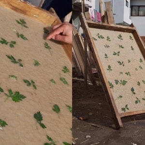May include: A wooden frame with a beige sheet of paper inside. The paper is covered with small green leaves, creating a pattern. The frame is propped up against a wall.