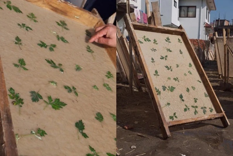 May include: A wooden frame with a beige sheet of paper inside. The paper is covered with small green leaves, creating a pattern. The frame is propped up against a wall.