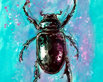 Beetle Ink Drawing Art Print - 8x10