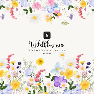 Fleurs sauvages clipart aquarelle délicate fleur sauvage bordure transparente floral lumineux prairie herbe logo pastel invitation de mariage sublimation png
