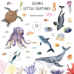 Clipart aquarelle animaux marins - créatures marines, baleines, dauphins, coraux, poissons tropicaux et vie sous-marine PNG - clipart marin - nautique