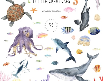 Ocean Animals Watercolor Clipart – Sea Creatures, Whales, Dolphins, Corals, Tropical Fish & Underwater Life PNG - Marine Clipart - Nautical