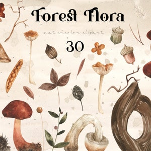 Flore sauvage Clipart aquarelle champignons Floral png Herbes séchées Arrangement forêt feuilles Faire-part de mariage Sublimation téléchargement numérique png
