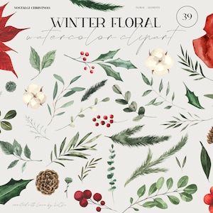 Clipart floral aquarelle roses gui poinsettia fleurs de coton baies rouges verdure eucalyptus feuillage sapin pin rameaux sublimation png