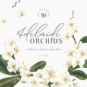Aquarell Orchidee Clipart weiß exotische Kränze Orchideen Rahmen Png Pritable digitaler Download Blumen Tropische Hochzeit Clip Art