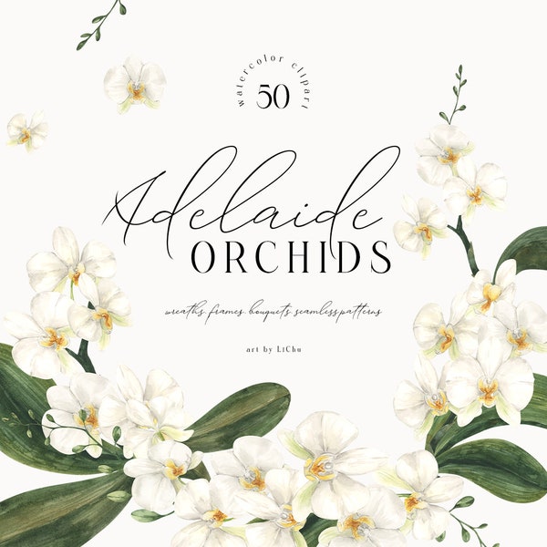 Aquarelle orchidée Clipart blanc couronnes exotiques orchidées cadre Png imprimable Floral téléchargement numérique fleurs modernes mariage Tropical Clip Art
