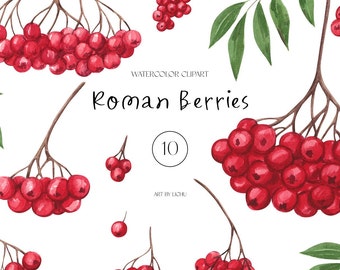 Watercolor Berries Clipart Summer Roman Red Berries Clip Art Fresh Fruits Botanical Illustrations Food Sublimation PNG Floral Garden