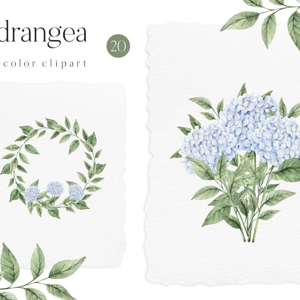 Aquarelle hortensia couronne Floral cadre fleurs bleues verdure Bouquet pour faire-part de mariage clipart png
