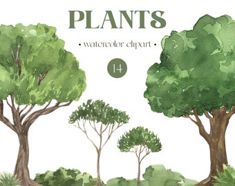 Watercolor greenery trees bushes plants Garden peach pear apple tree landscape spring summer Sublimation clipart png