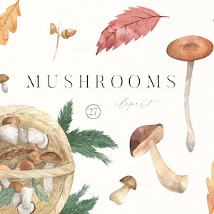 Aquarell Pilze Clipart - Picknickkorb Pilz Kunst - Herbst Vibes - Aquarell Gemütlicher Herbst digitale Clipart PNG