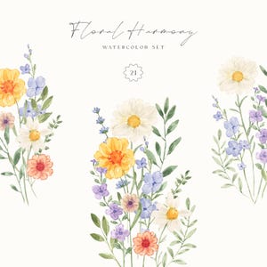 Clipart de aquarela de harmonia floral – Buquês de flores silvestres, molduras florais, bordas de flores, margaridas, lavanda, flores silvestres, clipart de casamento PNG
