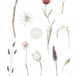 May include: Watercolor illustration of various flowers and plants, including a pink thistle, a red flower, a blue flower, and a white flower. The illustration is on a white background with a light gray texture.