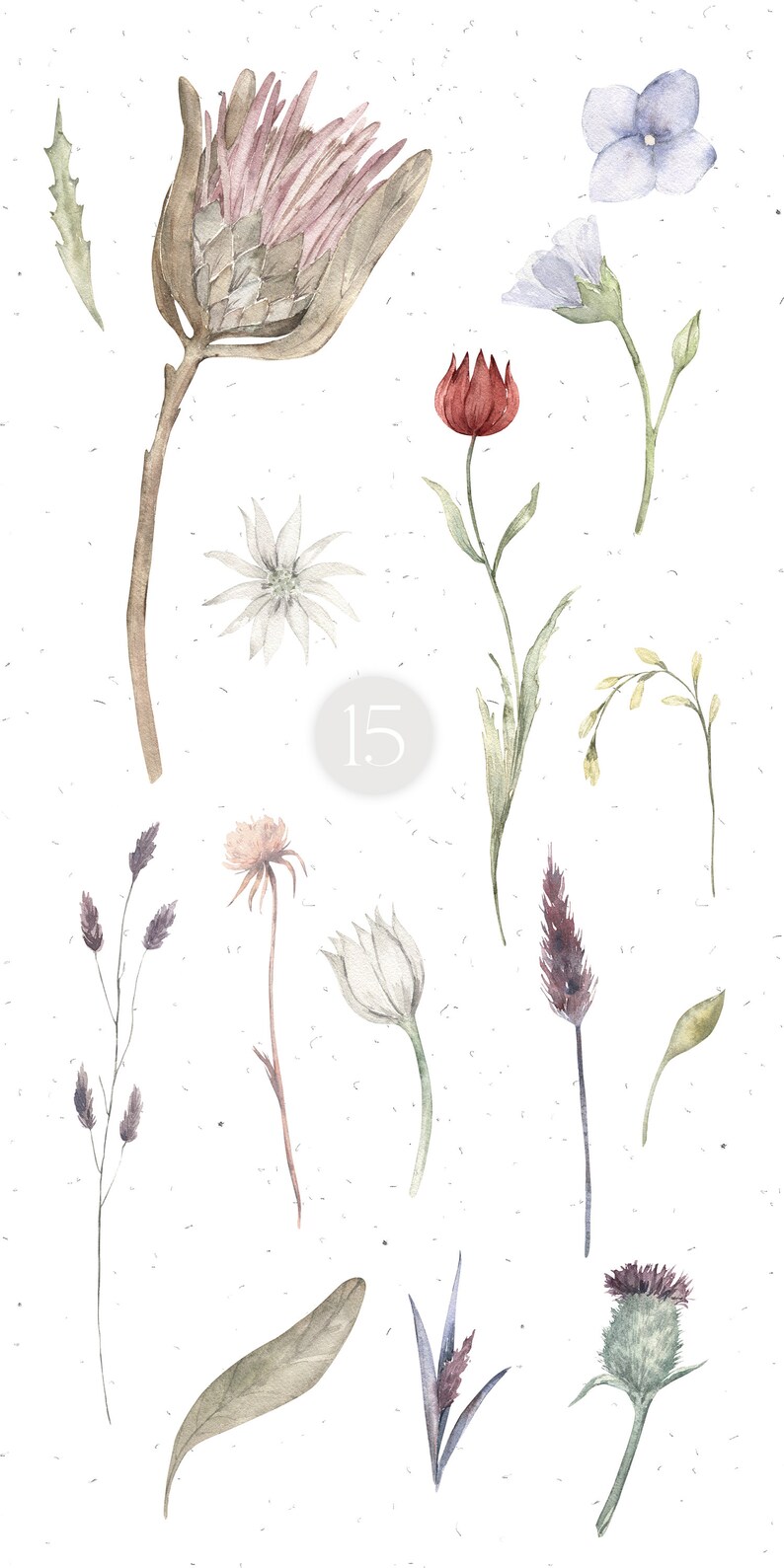 May include: Watercolor illustration of various flowers and plants, including a pink thistle, a red flower, a blue flower, and a white flower. The illustration is on a white background with a light gray texture.
